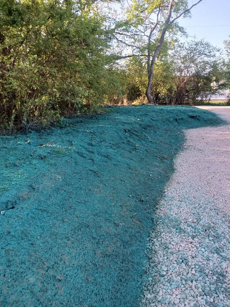Expert yard cleanup service in Hot Springs, AR - A & B HYDROSEEDING