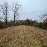 Professional landscape installation for residential properties in Hot Springs, AR by A & B HYDROSEEDING