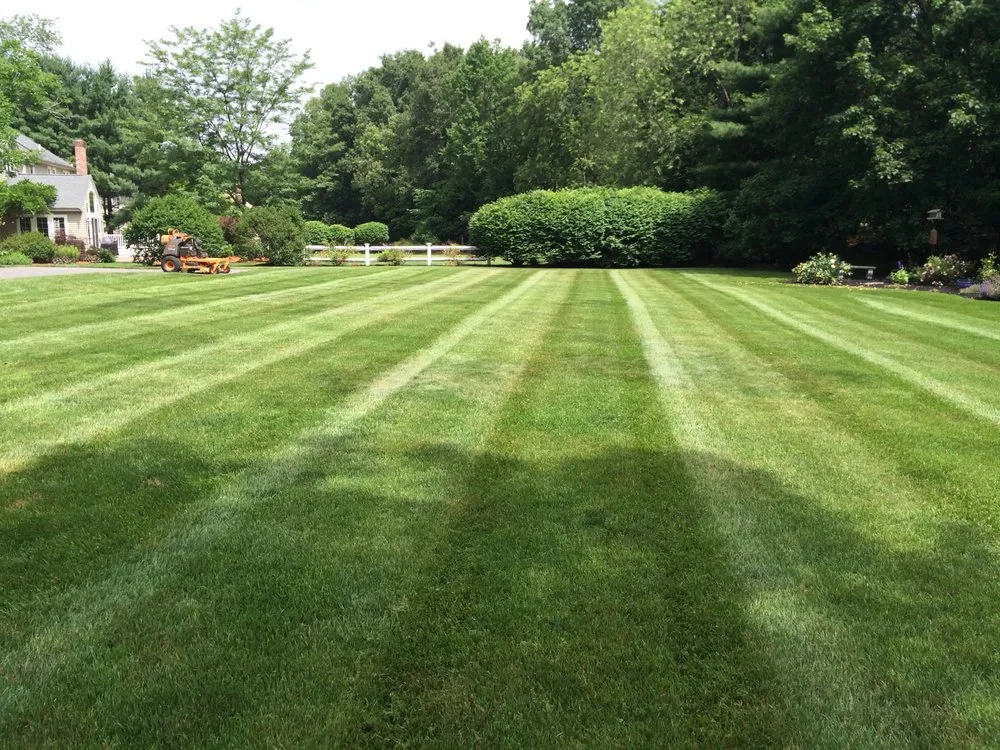 Affordable yard maintenance in Chelmsford, MA - A & B Landscape and Tree Service