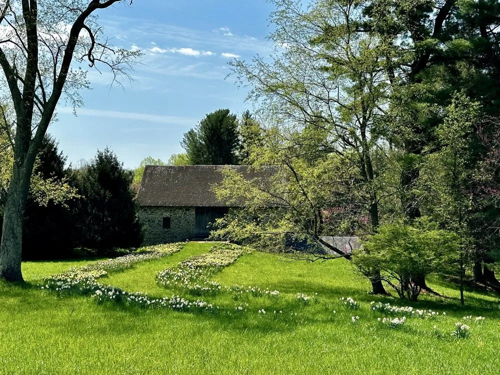 Reliable yard maintenance experts serving Hockessin, DE - A & B Landscape