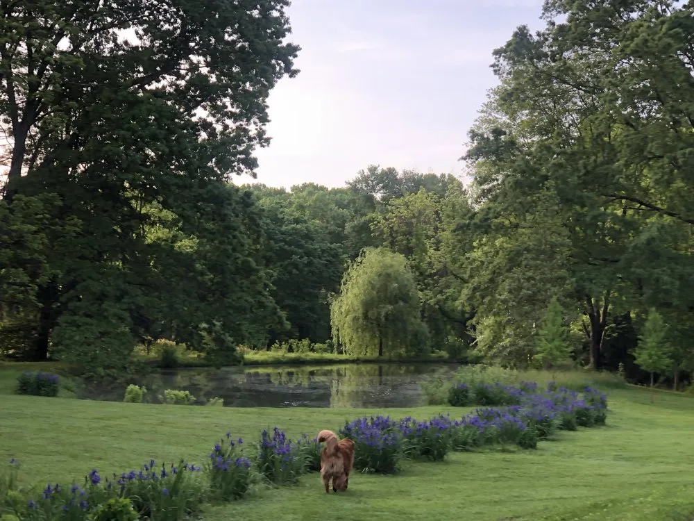 Local lawn care service for year-round maintenance across Hockessin, DE - A & B Landscape