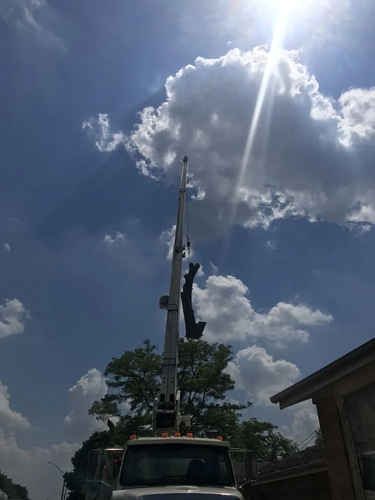 Trusted residential landscaping experts serving Riverside, IL - A & B Landscaping & Tree Service