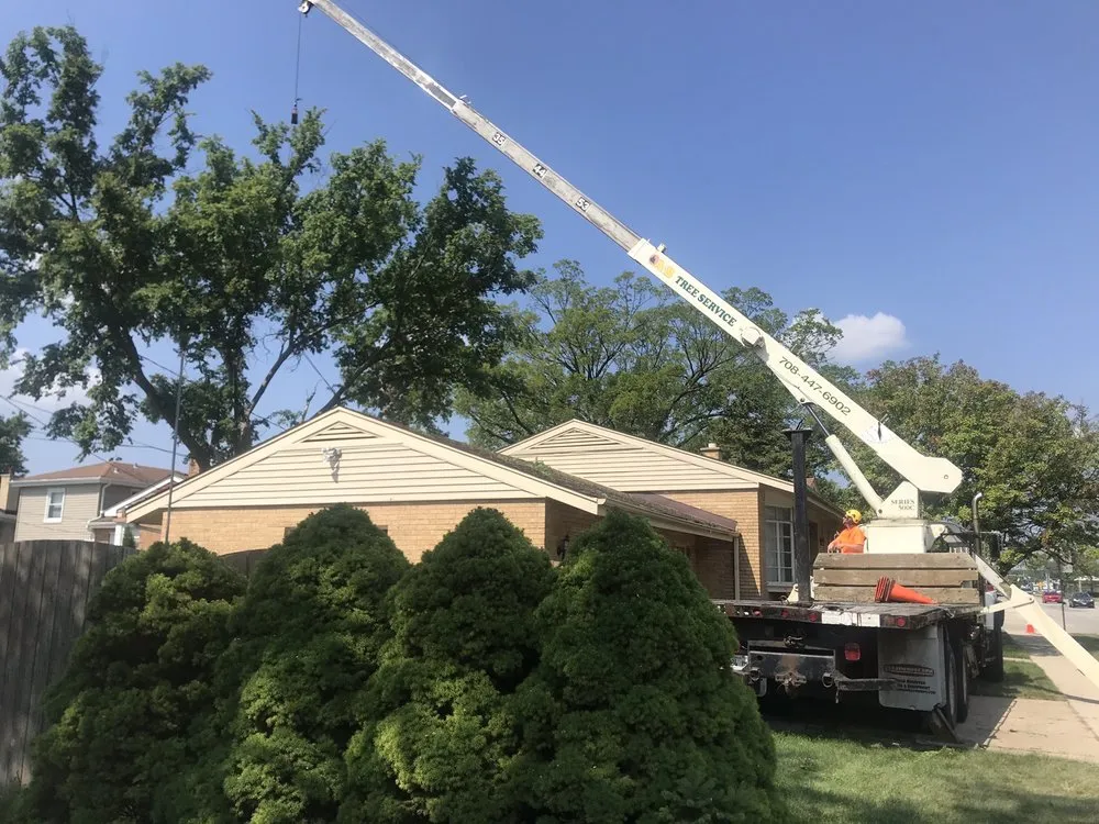 Reliable landscape installation in Riverside, IL by A & B Landscaping & Tree Service