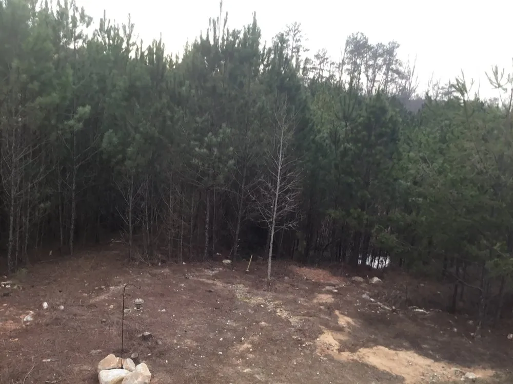 Trusted landscape design in Fayetteville, GA - A & B Landscaping