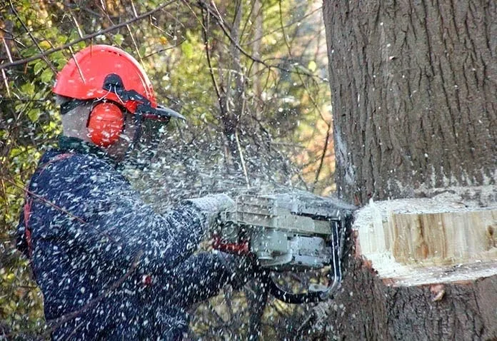 Affordable outdoor landscaping in Fayetteville, GA - A & B Landscaping