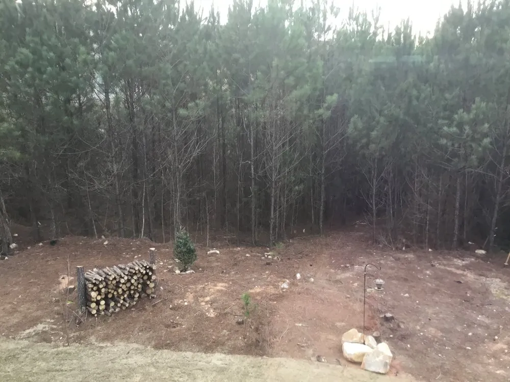 Top-rated yard maintenance for homes across Fayetteville, GA - A & B Landscaping