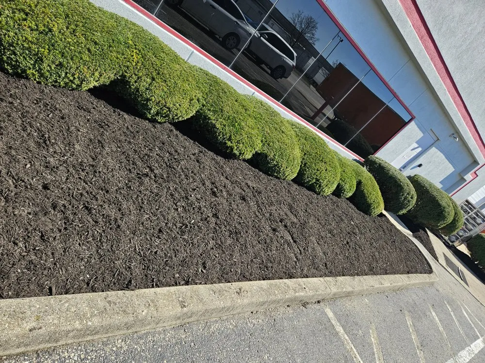 Expert yard maintenance experts serving Greenville, OH - A & B Landscaping