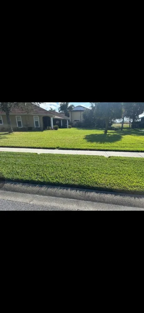 Custom yard maintenance in Melbourne, FL by A & B's Lawn Care