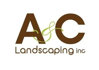 Trusted yard cleanup service in San Diego, CA by A & C Landscaping