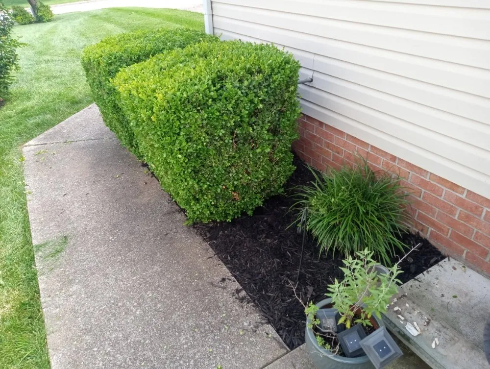 Trusted yard maintenance in Water Valley, KY by A & C Landscaping