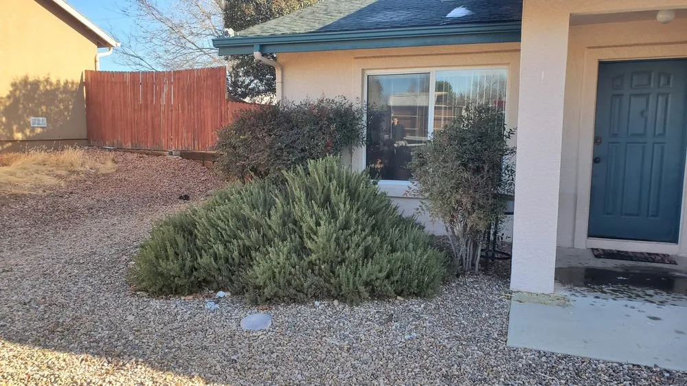 Reliable yard cleanup service in Prescott Valley, AZ by A & C Services