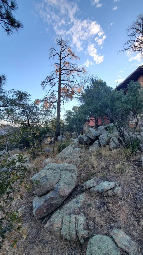 Local garden landscaping experts serving Prescott Valley, AZ - A & C Services