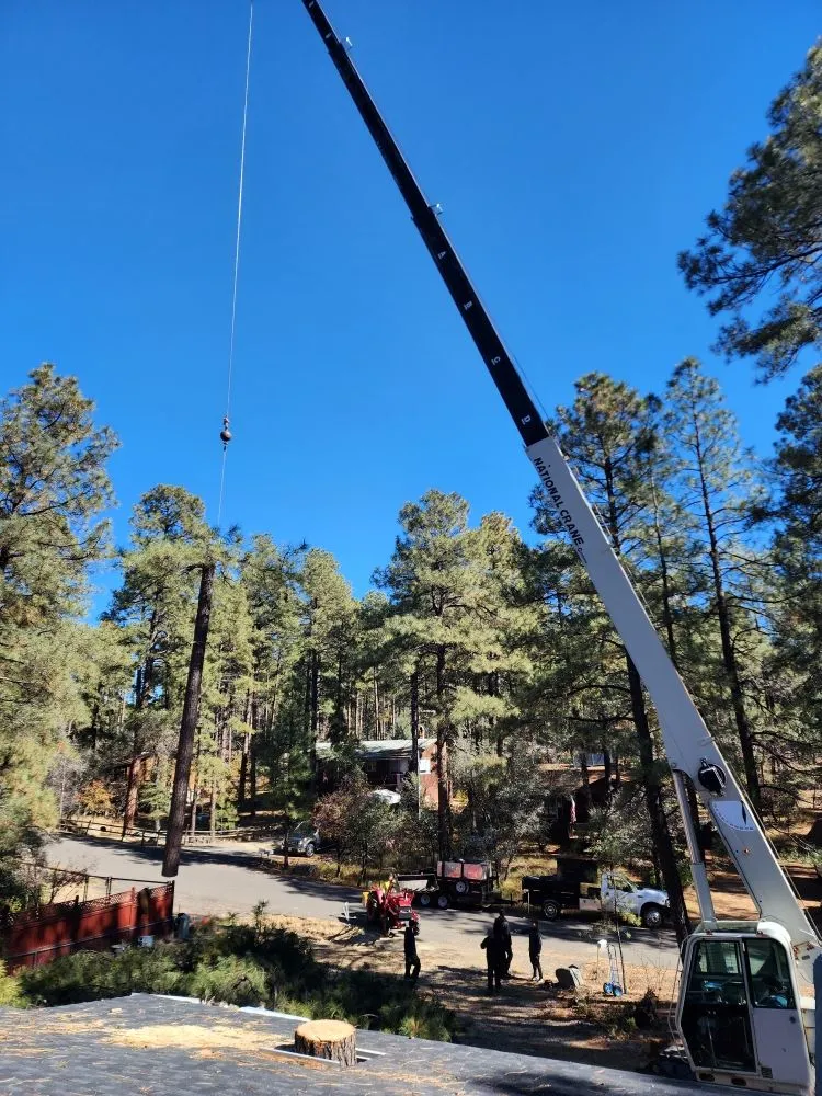 Reliable lawn care service in Prescott Valley, AZ - A & C Services