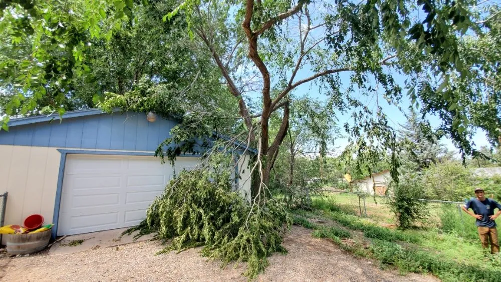 Affordable landscape installation experts serving Prescott Valley, AZ - A & C Services