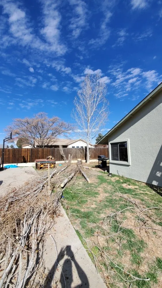 Professional landscape design in Prescott Valley, AZ - A & C Services