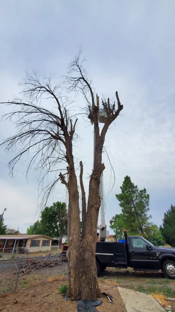 Affordable landscape installation for beautiful yards across Prescott Valley, AZ - A & C Services