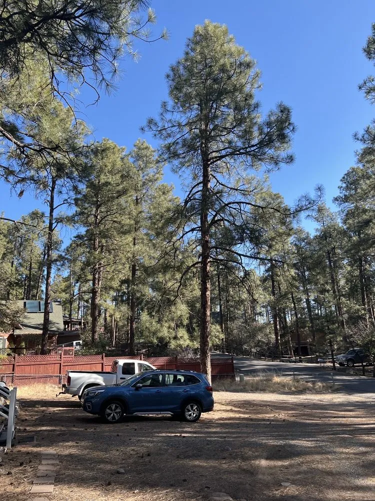 Local landscape installation for homes in Prescott Valley, AZ by A & C Services