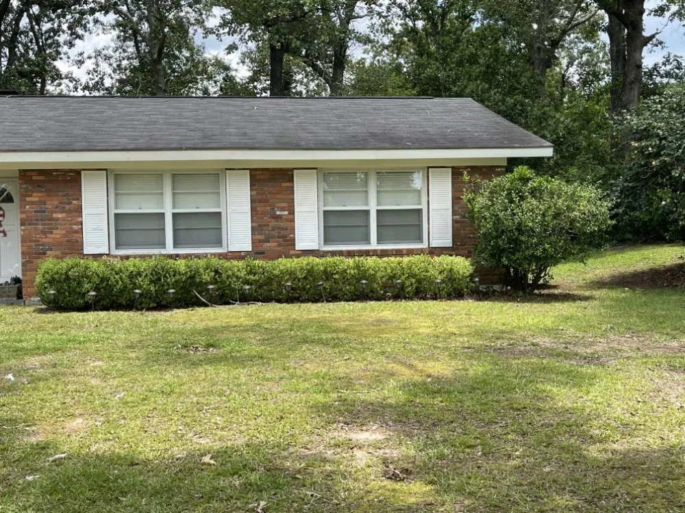 Local lawn mowing service in Americus, GA by A & D All In One