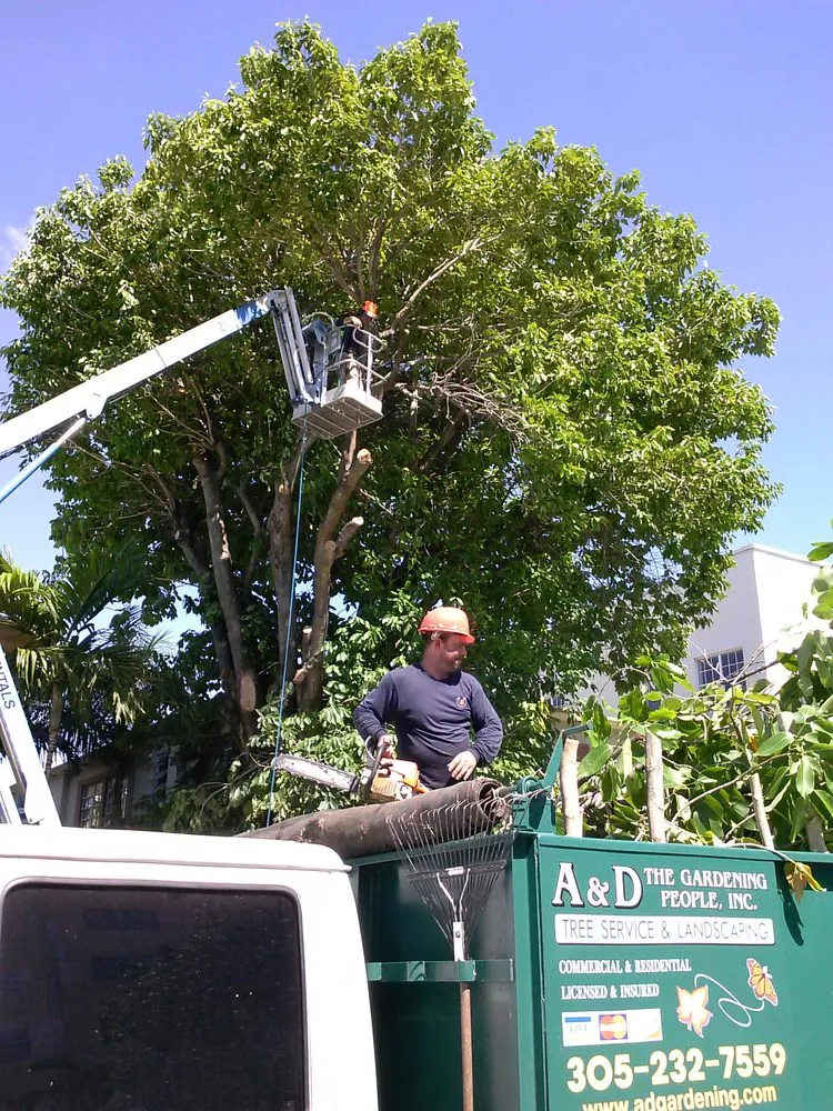 Local yard maintenance in Miami, FL by A & D Gardening