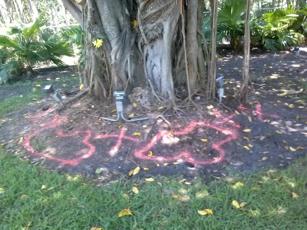 Trusted lawn mowing service for residential properties in Miami, FL by A & D Gardening