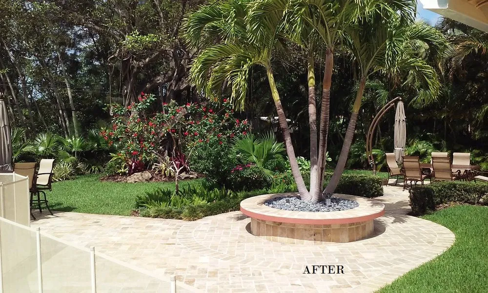 Custom lawn care service experts serving Miami, FL - A & D Gardening