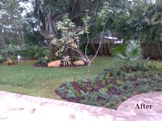 Top-rated landscape design experts serving Miami, FL - A & D Gardening