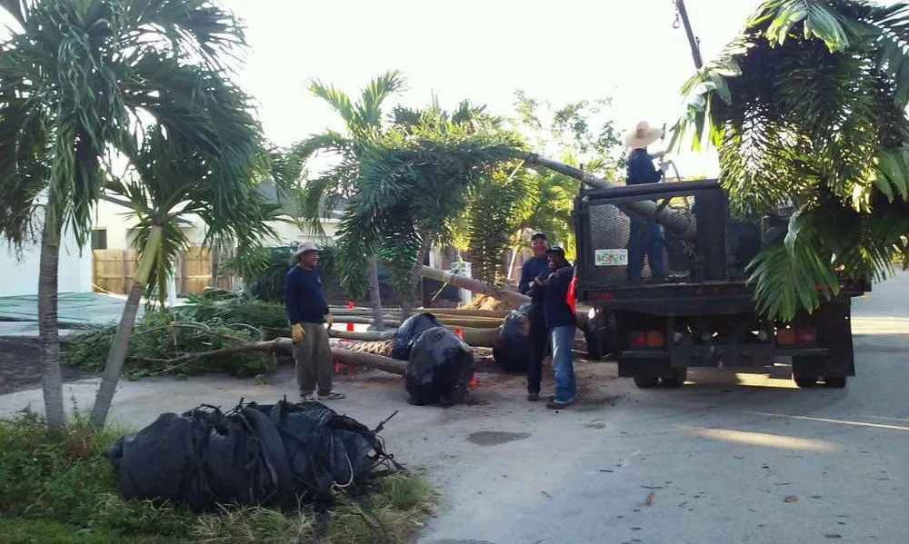 Custom yard cleanup service experts serving Miami, FL - A & D Gardening