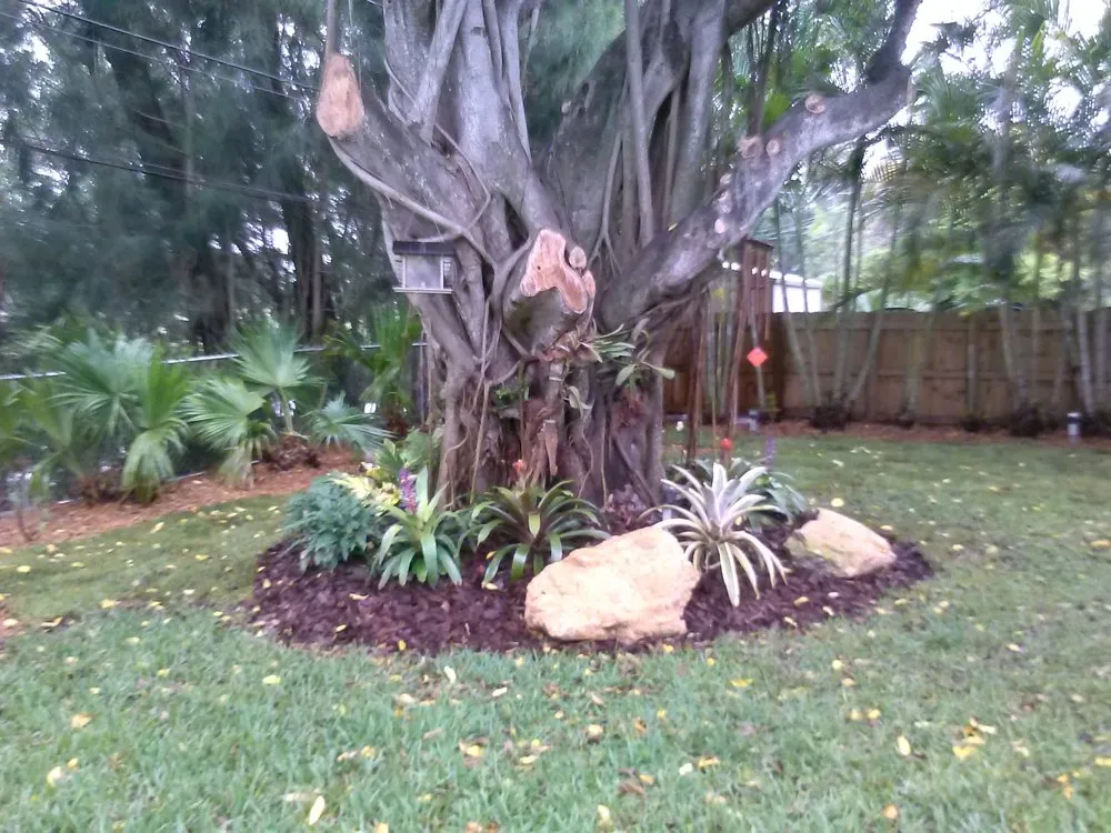 Affordable yard maintenance in Miami, FL by A & D Gardening