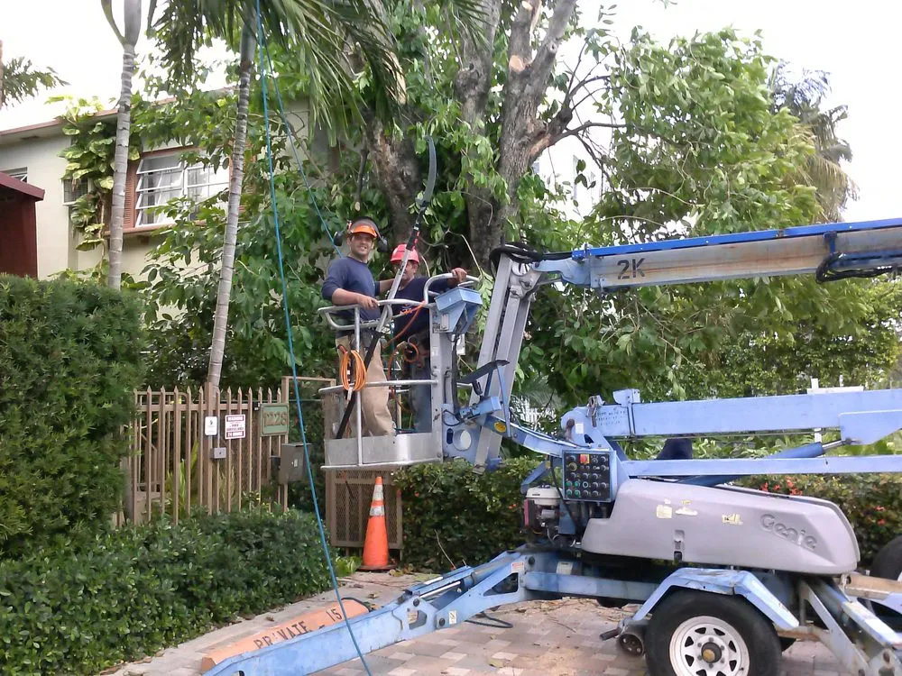 Expert outdoor landscaping in Miami, FL by A & D Gardening
