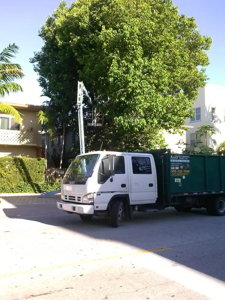 Local outdoor landscaping in Miami, FL - A & D Gardening