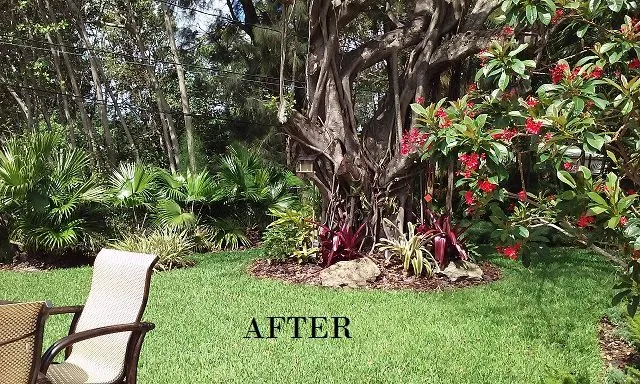 Local lawn care service for homes in Miami, FL by A & D Gardening