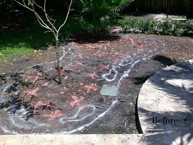 Reliable yard maintenance experts serving Miami, FL - A & D Gardening