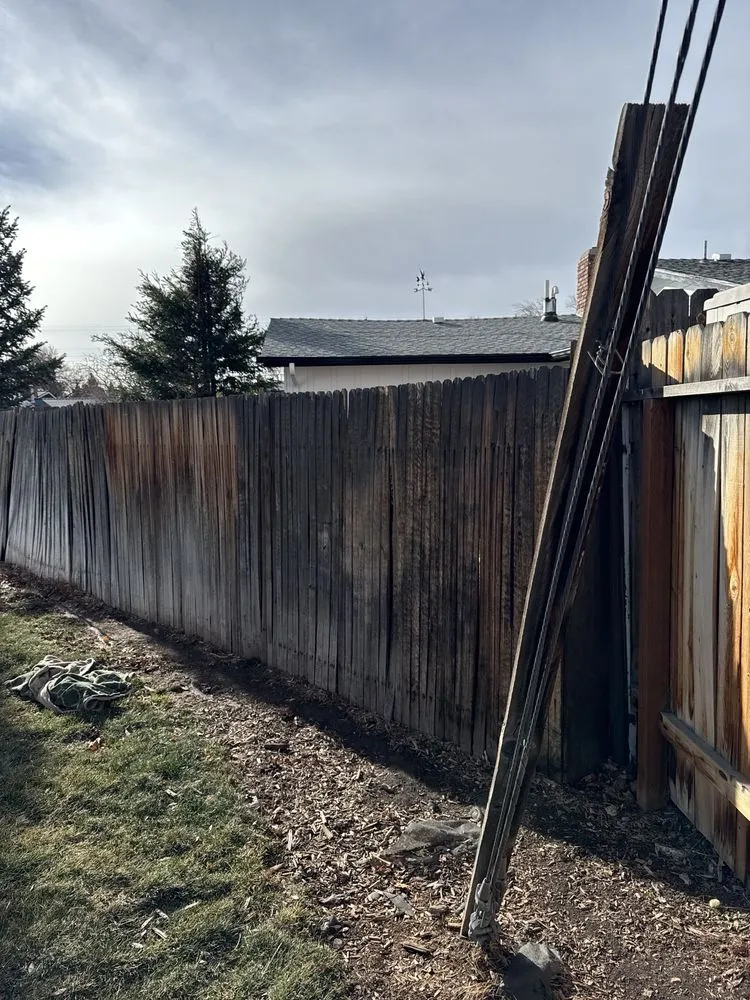 Affordable lawn mowing service for year-round maintenance in Reno, NV by A & D General Services