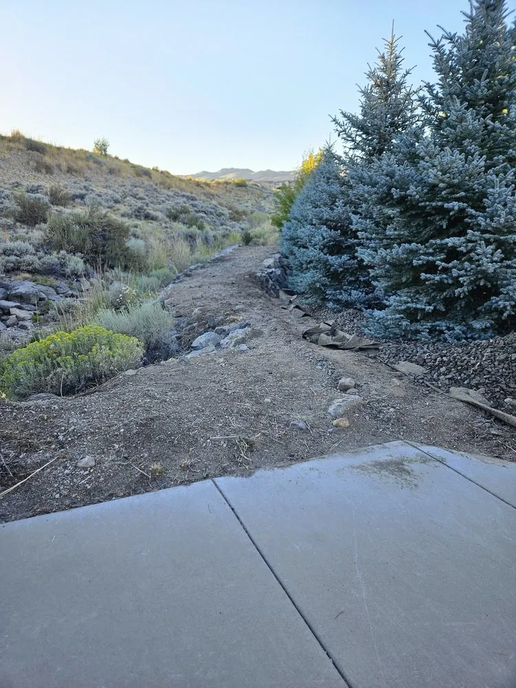 Affordable lawn care service in Reno, NV - A & D General Services