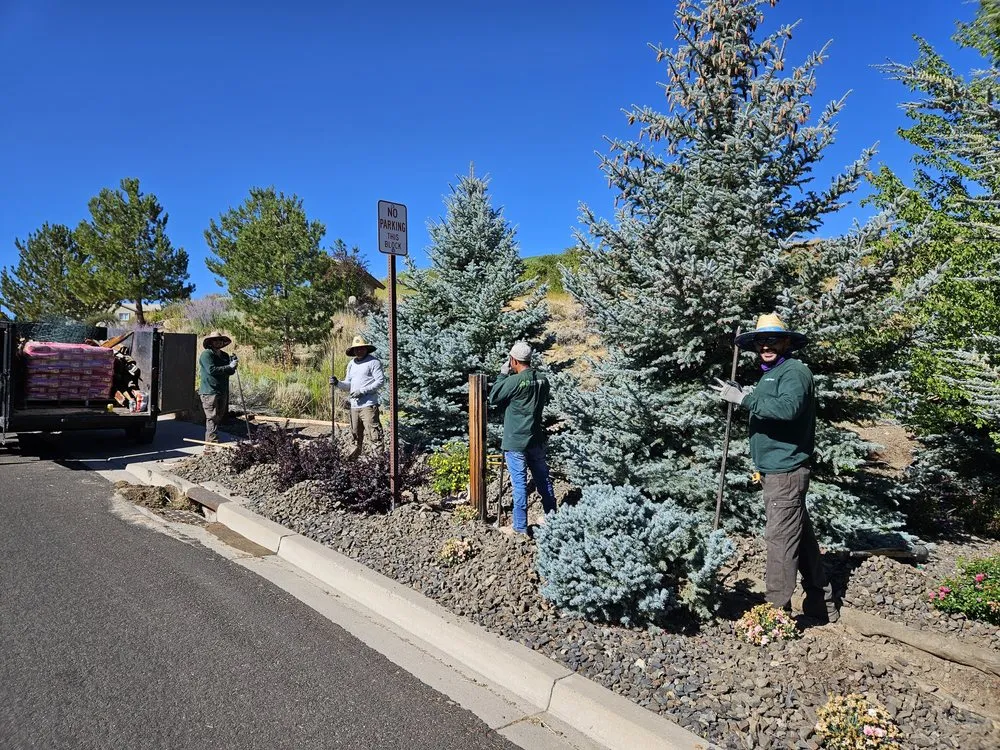 Affordable yard cleanup service in Reno, NV - A & D General Services