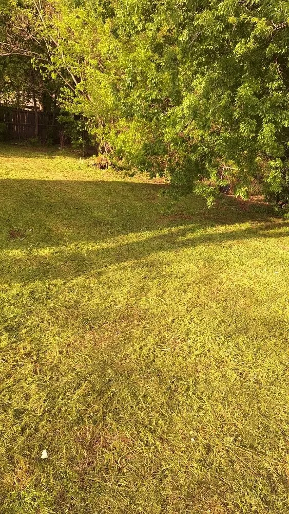 Trusted residential landscaping in Longview, TX - A & D Kustomz