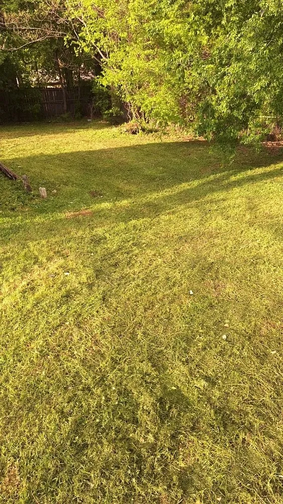 Top-rated residential landscaping in Longview, TX - A & D Kustomz