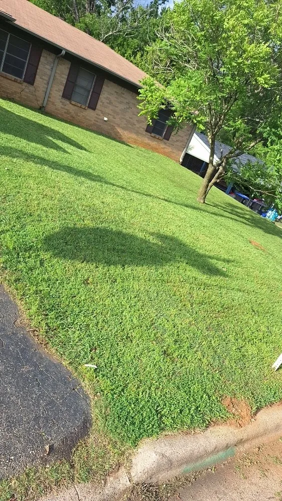 Expert lawn mowing service in Longview, TX - A & D Kustomz