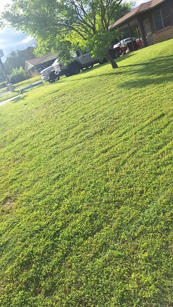 Professional outdoor landscaping experts serving Longview, TX - A & D Kustomz