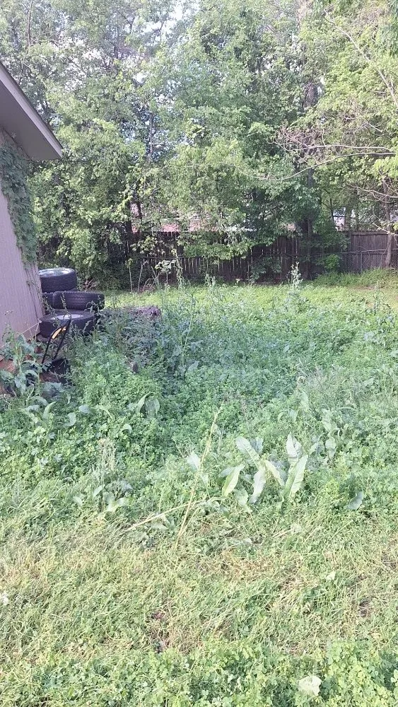 Trusted lawn care service in Longview, TX by A & D Kustomz