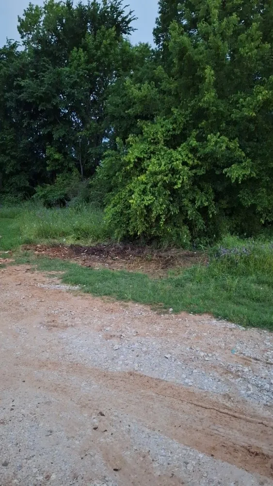 Trusted garden landscaping experts serving Longview, TX - A & D Kustomz