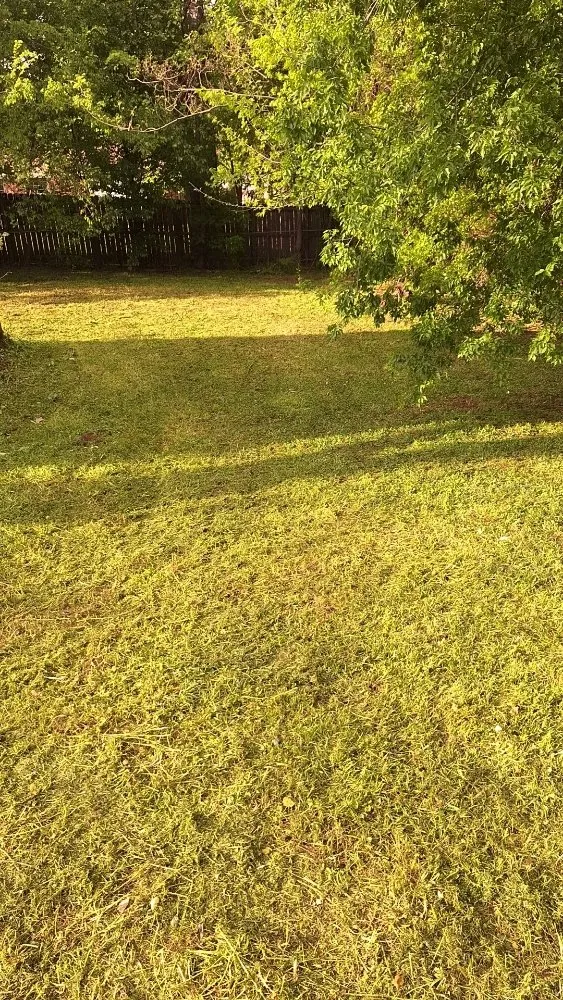 Affordable garden landscaping in Longview, TX by A & D Kustomz