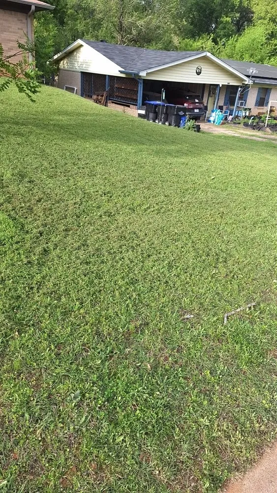 Reliable yard maintenance for beautiful yards in Longview, TX by A & D Kustomz