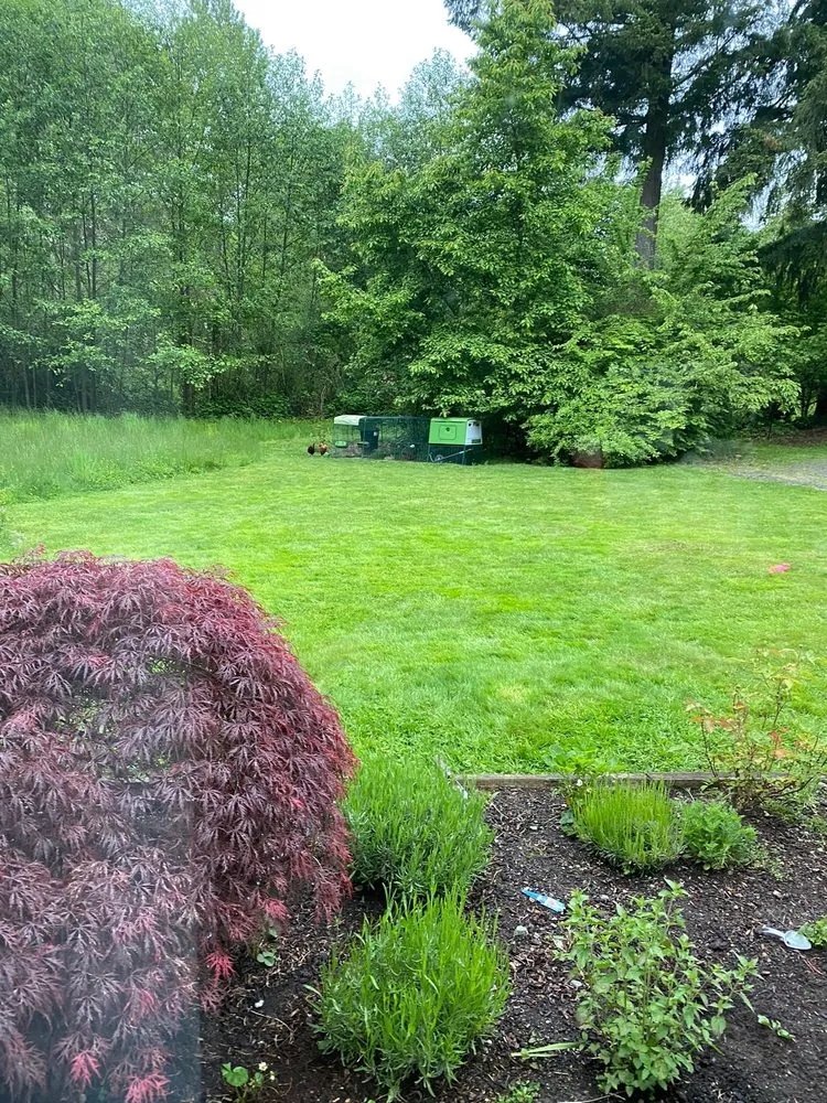 Local landscaping services in Snohomish, WA - A & D Landscape Services