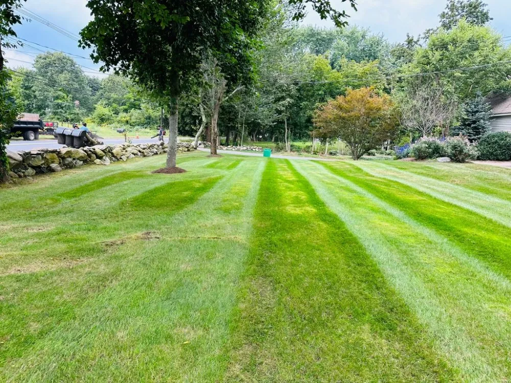 Custom yard cleanup service experts serving Marlborough, MA - A & D Landscaping & Construction