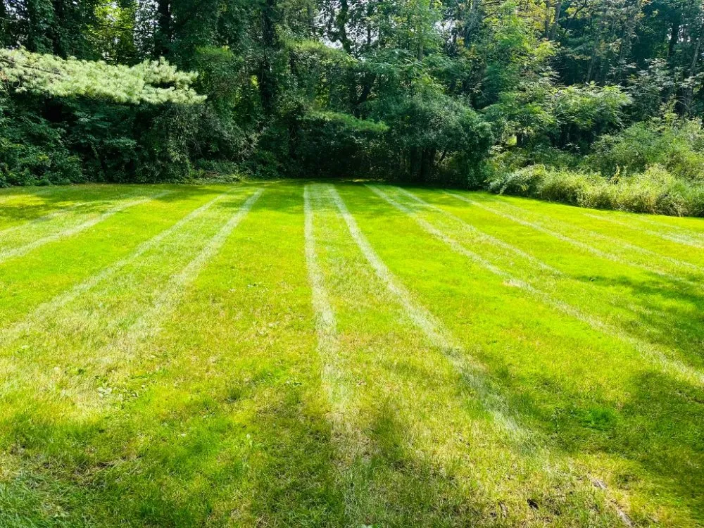 Custom outdoor landscaping for beautiful yards across Marlborough, MA - A & D Landscaping & Construction