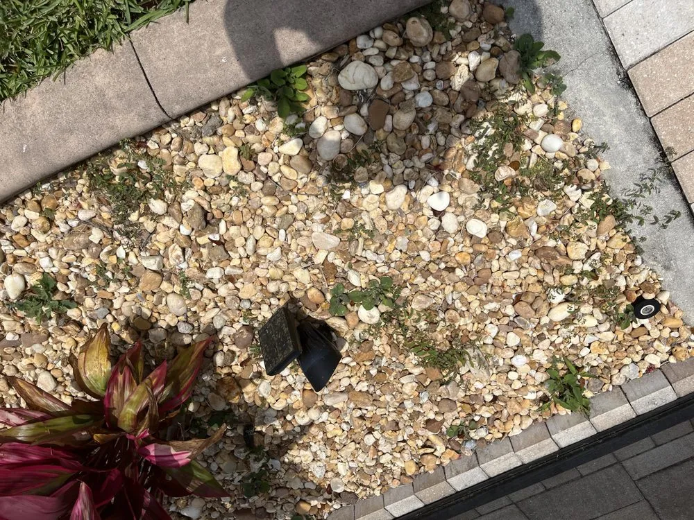 Reliable outdoor landscaping in Cape Coral, FL by A & D Lawn Pros