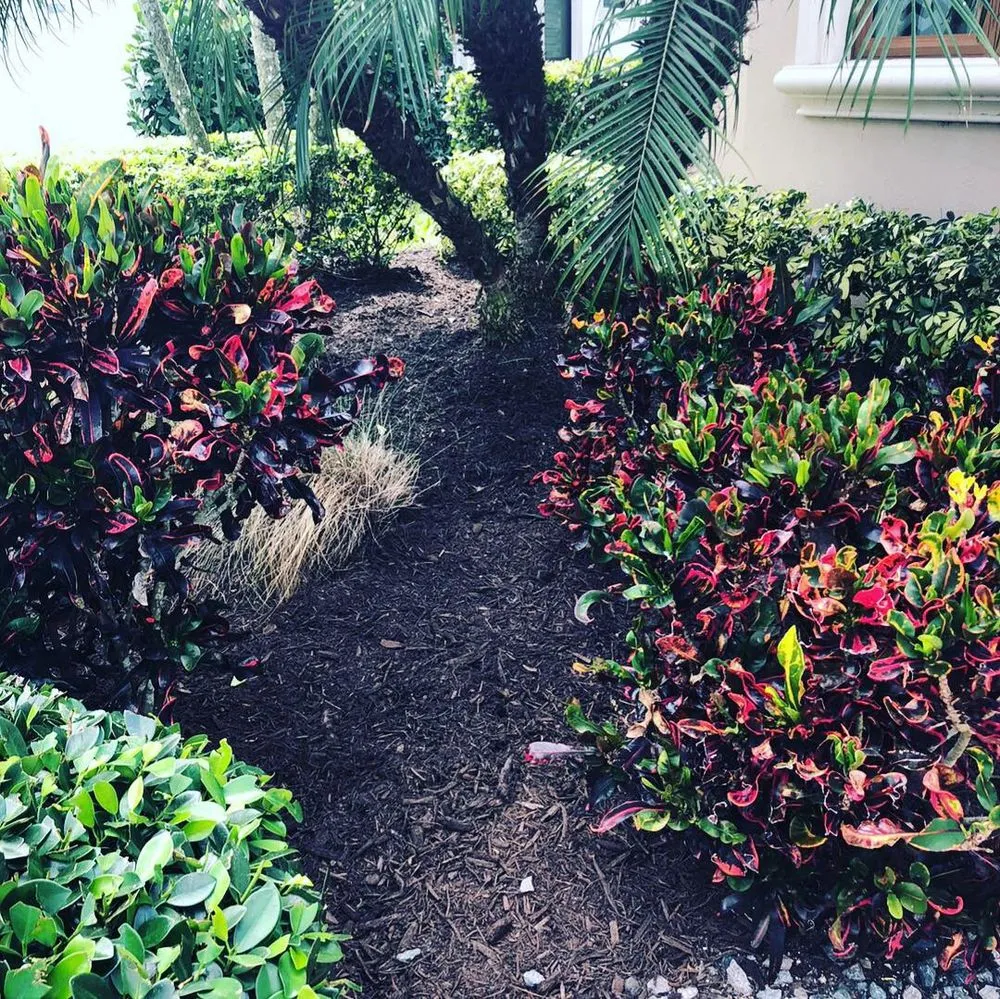 Local yard cleanup service in Cape Coral, FL by A & D Lawn Pros