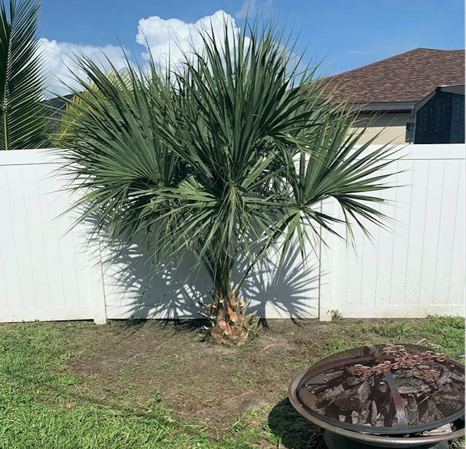 Top-rated lawn care service for beautiful yards in Cape Coral, FL by A & D Lawn Pros