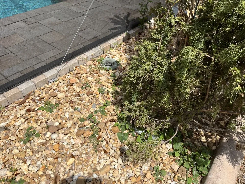 Reliable landscape design for outdoor upgrades across Cape Coral, FL - A & D Lawn Pros